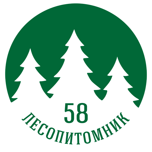 Лесопитомник 58